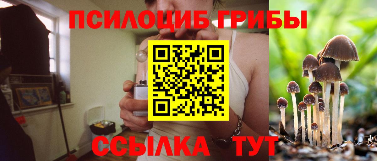 Галлюциногенные грибы ЛСД  Вход с VPN  хочу наркоту  Галлюциногенные грибы Psilocybe  Ярцево 