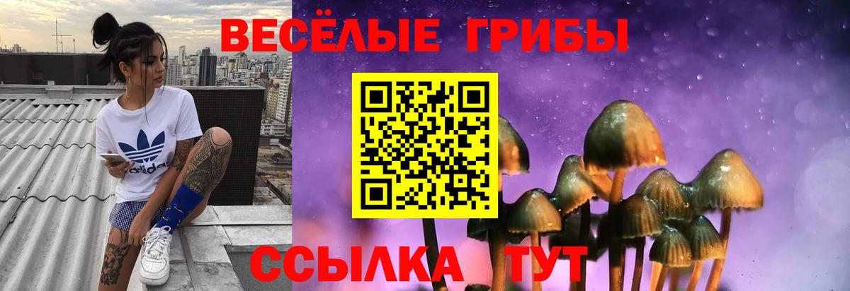Галлюциногенные грибы Magic Shrooms Ярцево